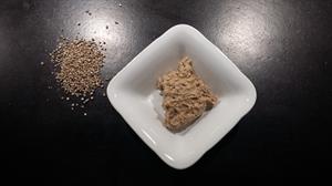 Surdegsstarter för surdegsbröd, 50 gram